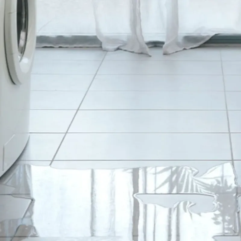 Appliance Leak Cleanup in Dalhart, TX