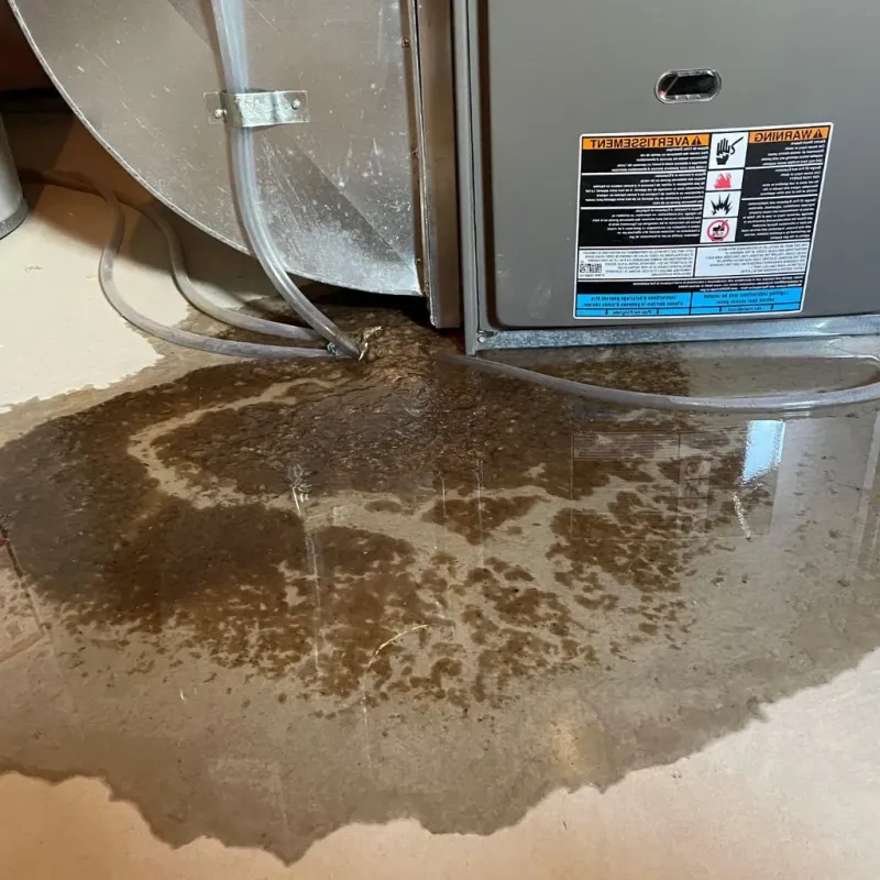 Pipe Burst and Leak Restoration in Dalhart, TX